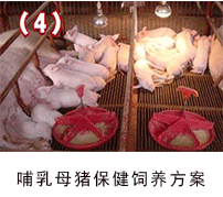 ����ĸ�i����--135�����B�i���g���÷���